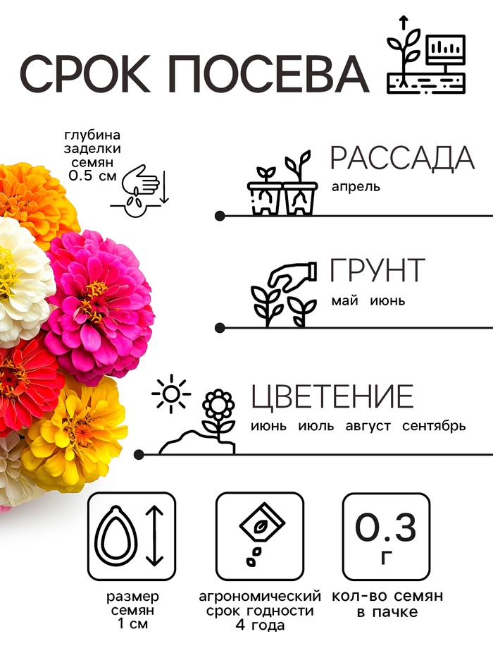 Семена цветов Цинния