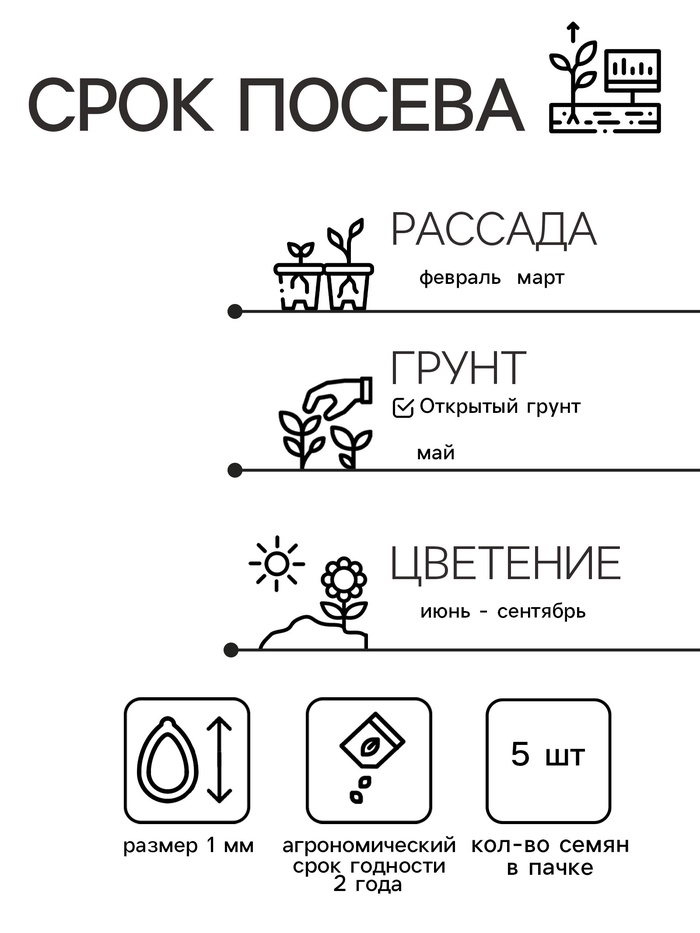 Семена Цветов Азарина