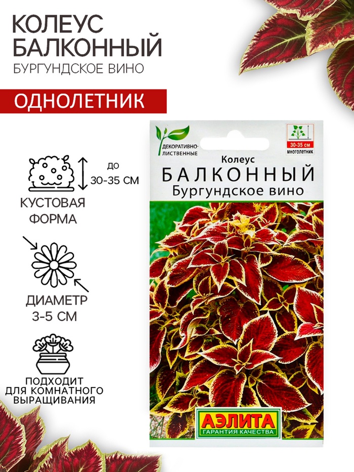 Семена цветов Колеус балконный