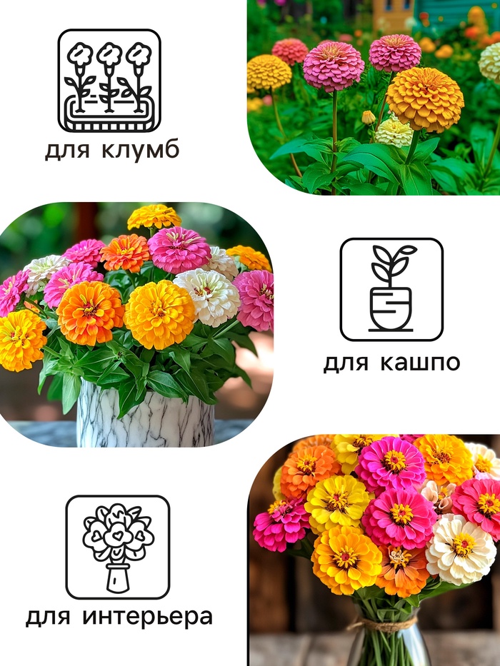 Семена цветов Цинния