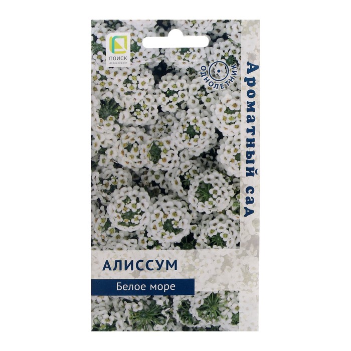 Семена цветов Алиссум