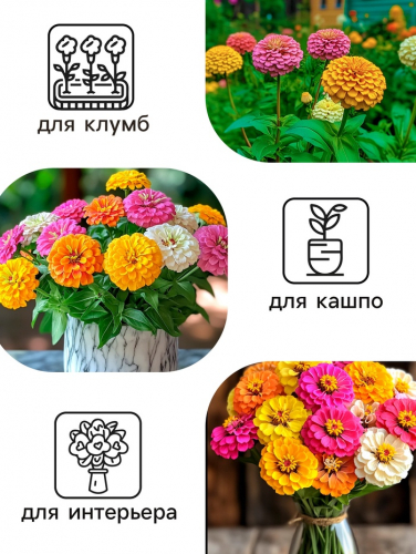 Семена цветов Цинния 