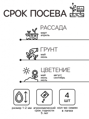 Семена Пеларгония 