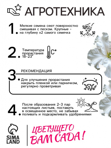 Семена Петуния Афродита F1 белая крупноцветковая, 7 шт
