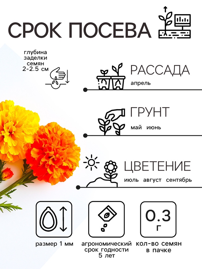 Семена цветов Бархатцы отклонённые «Петит», смесь, 0.3 г