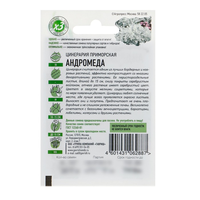 Семена цветов Цинерария приморская
