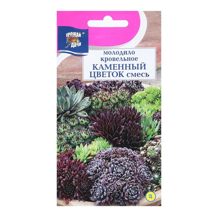 Семена цветов Молодило