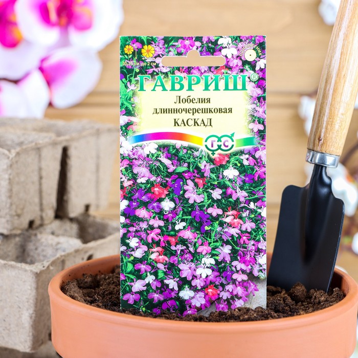Семена цветов Лобелия