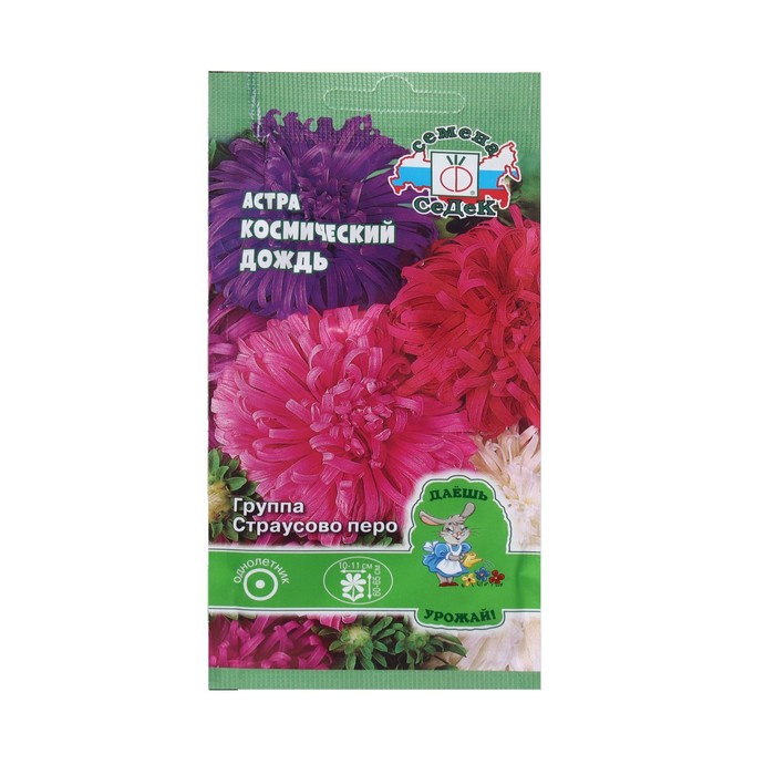 Семена Цветок Астра