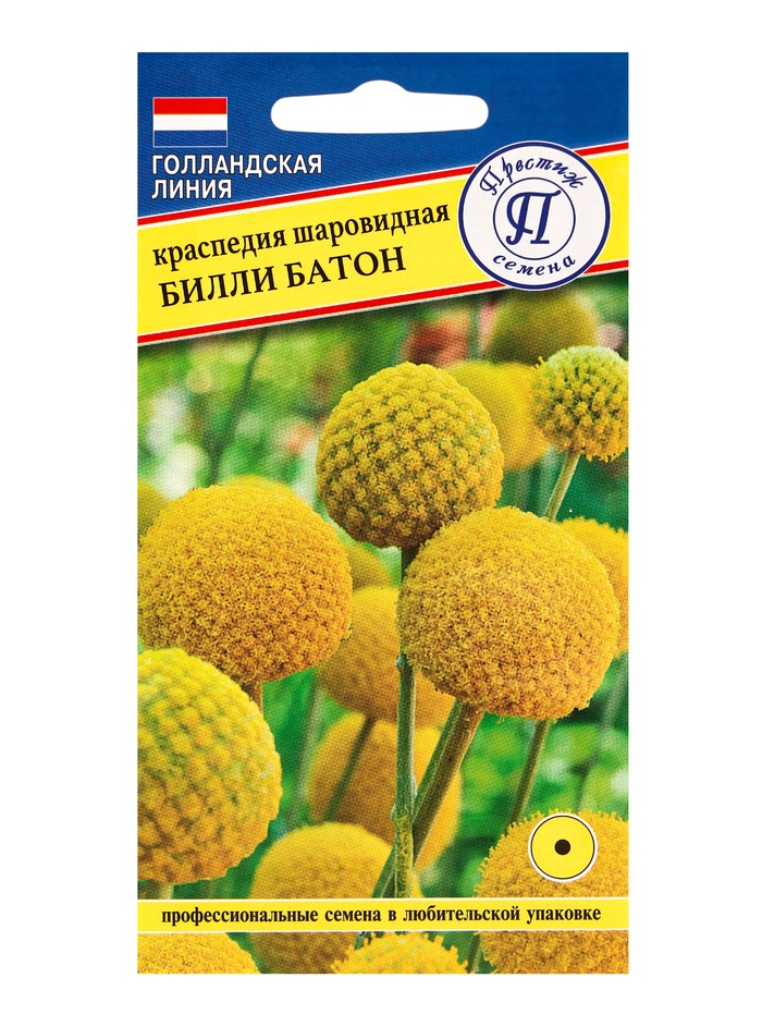 Семена цветов Краспедия шаровидная