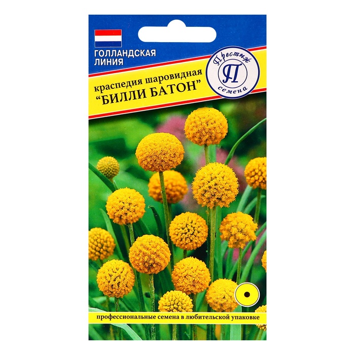 Семена цветов Краспедия шаровидная