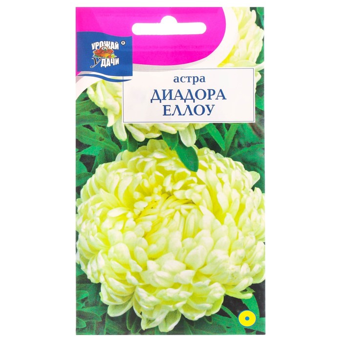 Семена цветов Астра