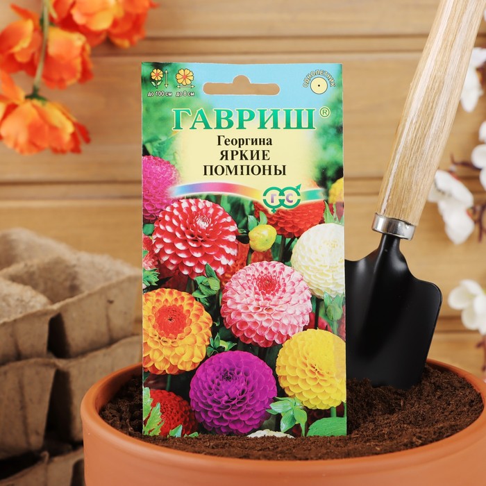 Семена цветов Георгина