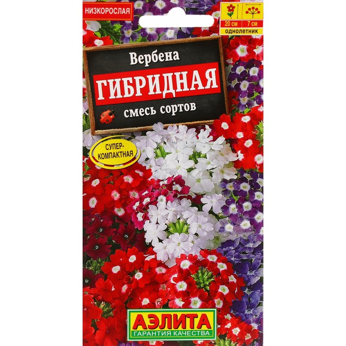 Семена Цветов Вербена