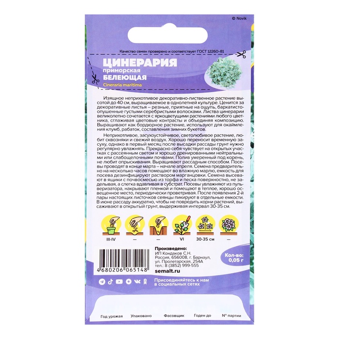 Семена Цинерария