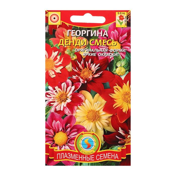 Семена Георгина