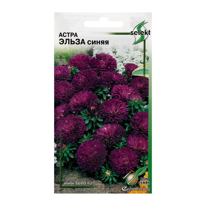 Семена цветов Астра