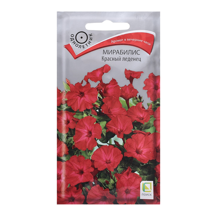Семена цветов Мирабилис