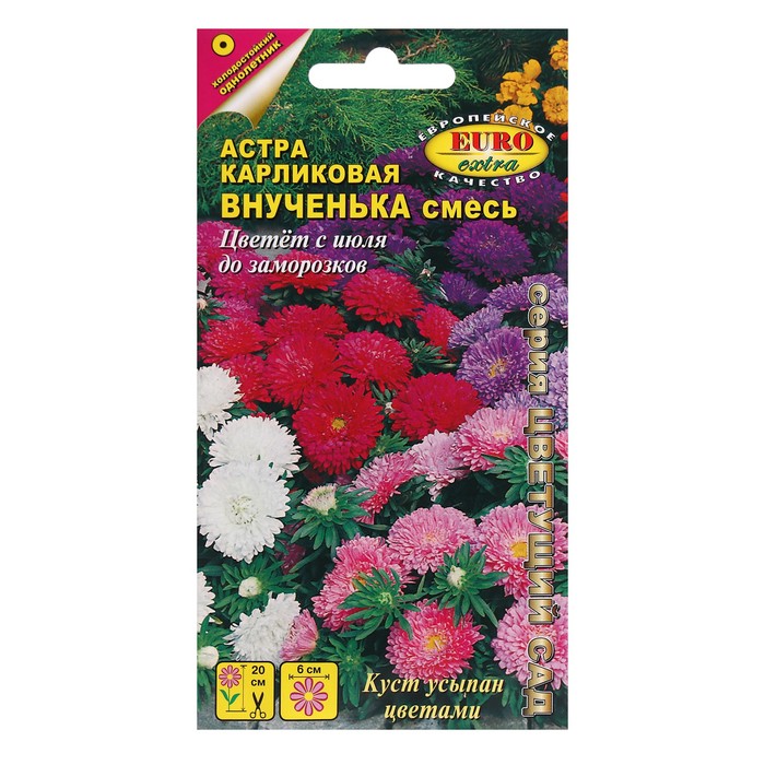 Семена цветов Астра