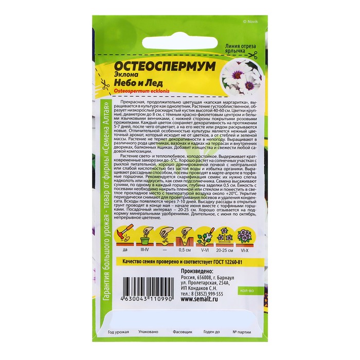 Семена Остеоспермум