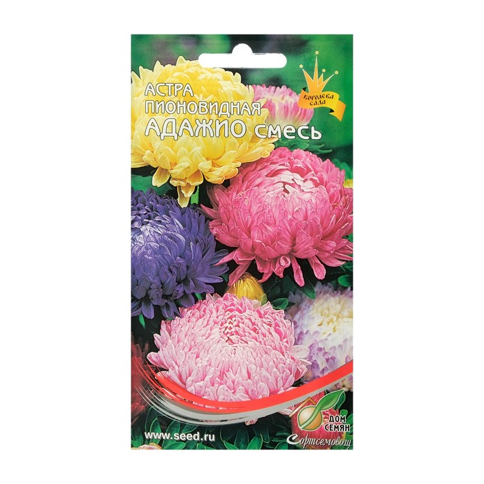 Семена цветов Астра пионовидная