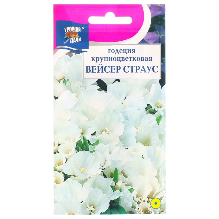 Семена цветов Годеция крупноцветковая