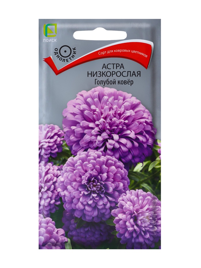 Семена цветов Астра низкорослая