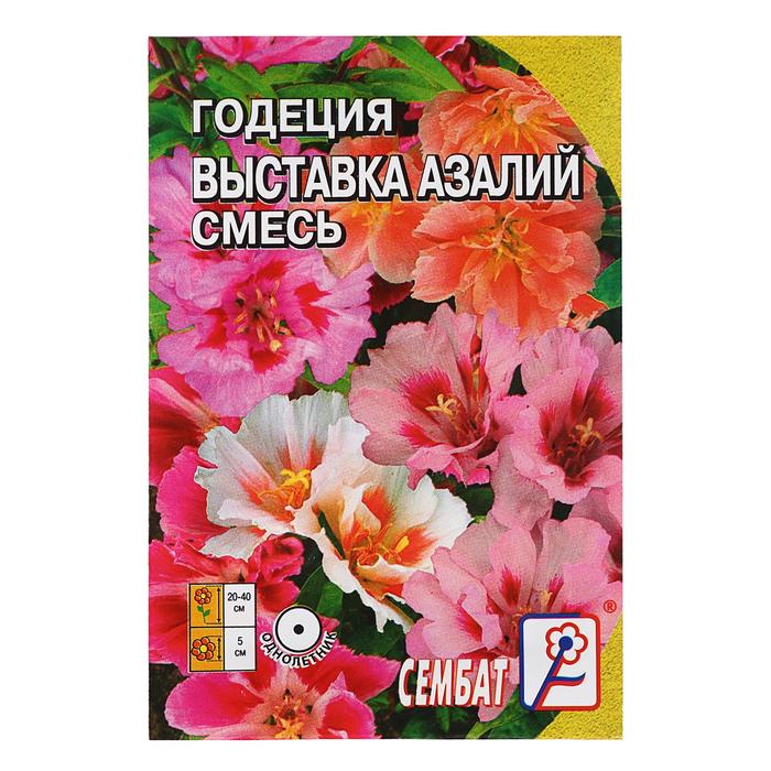 Семена цветов Годеция