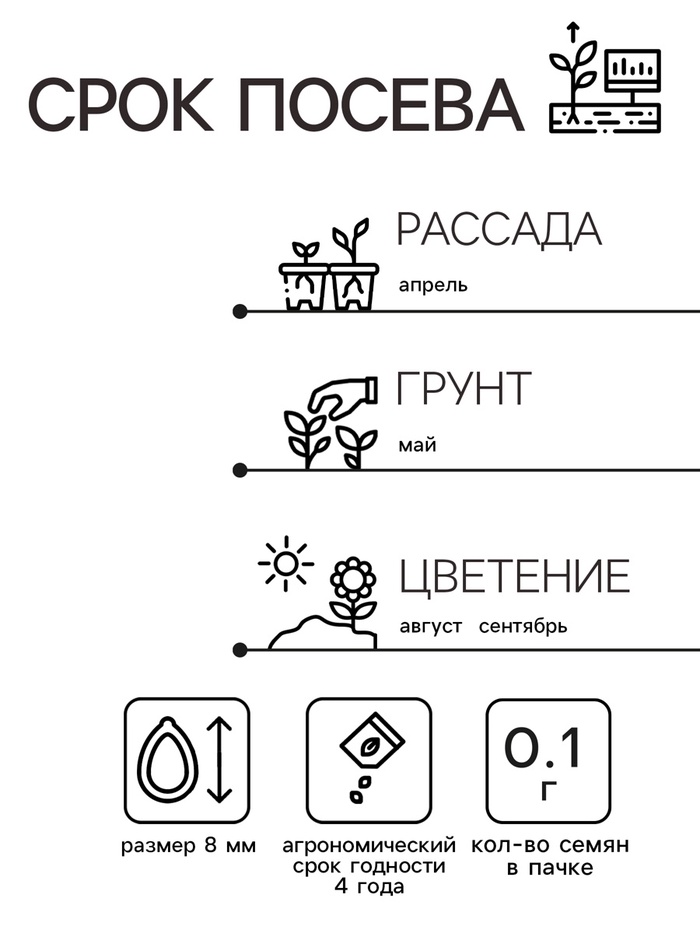 Семена цветов Астра