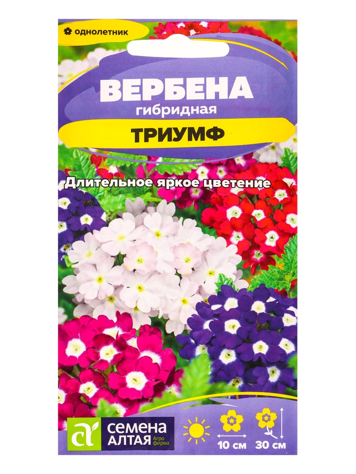 Семена цветов Вербена