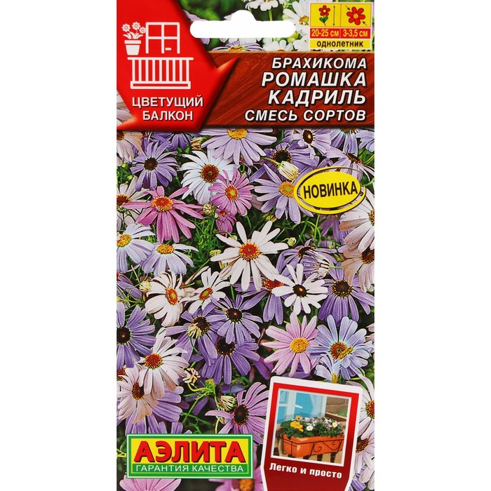 Семена Цветов Брахикома
