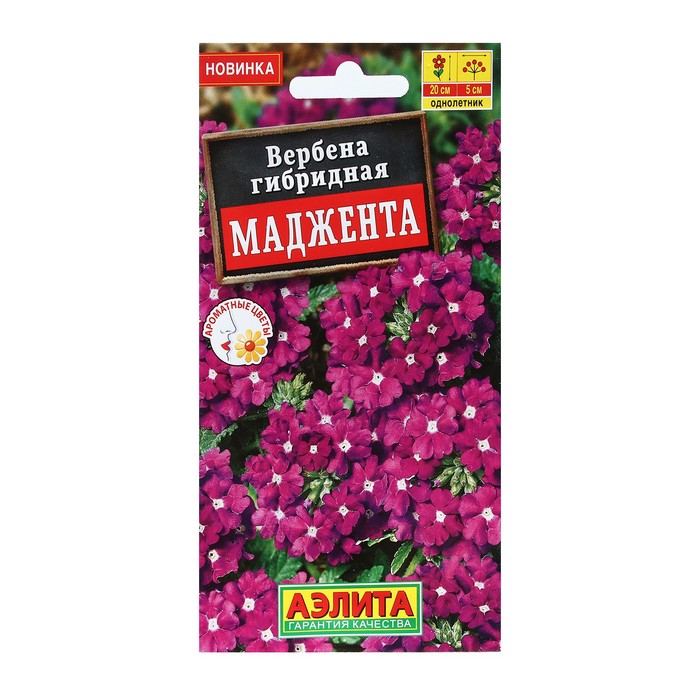 Семена Цветов Вербена
