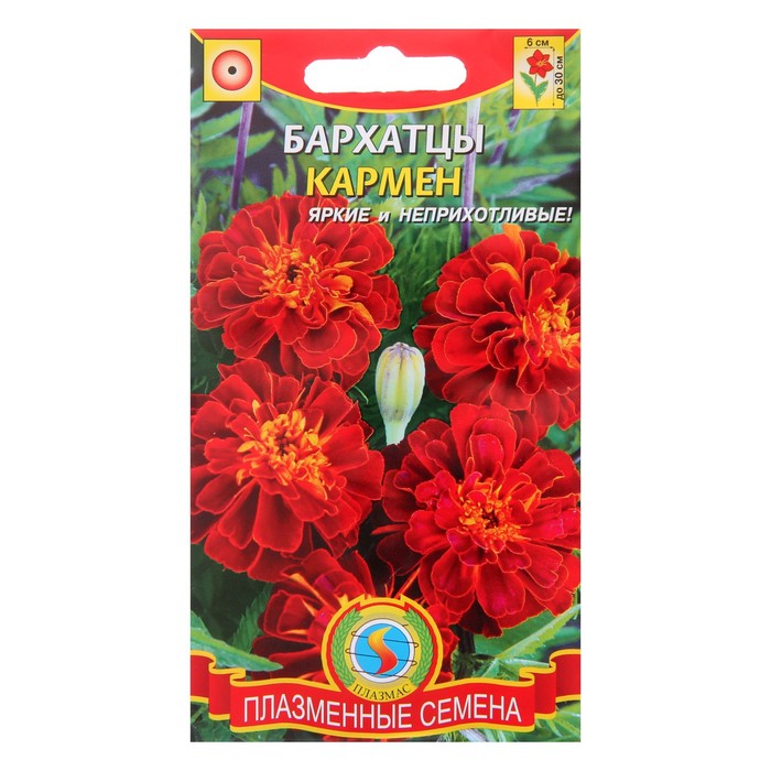 Семена Бархатцы