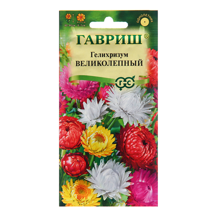 Семена Гелихризум