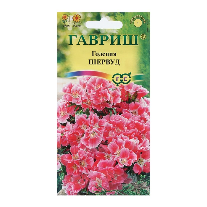 Семена цветов Годеция