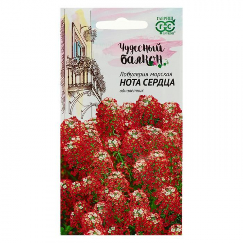 Семена цветов Лобулярия 