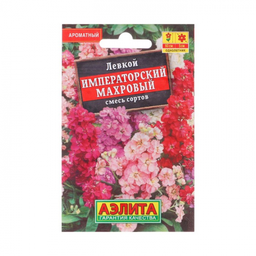 Семена Цветов Левкой 