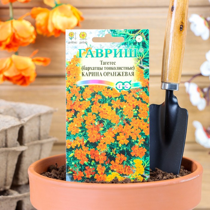 Семена цветов Бархатцы «Карина оранжевая », ц/п, тонколистные, 0.05 г