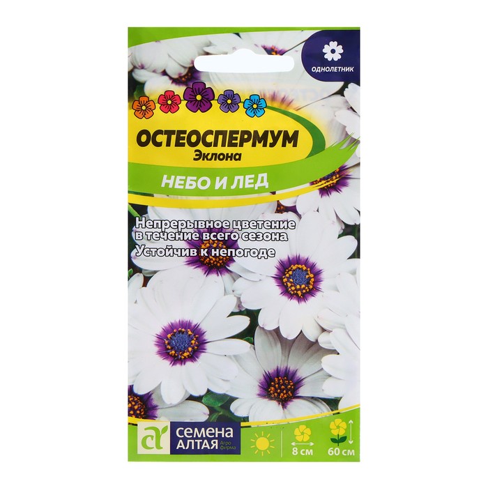 Семена Остеоспермум