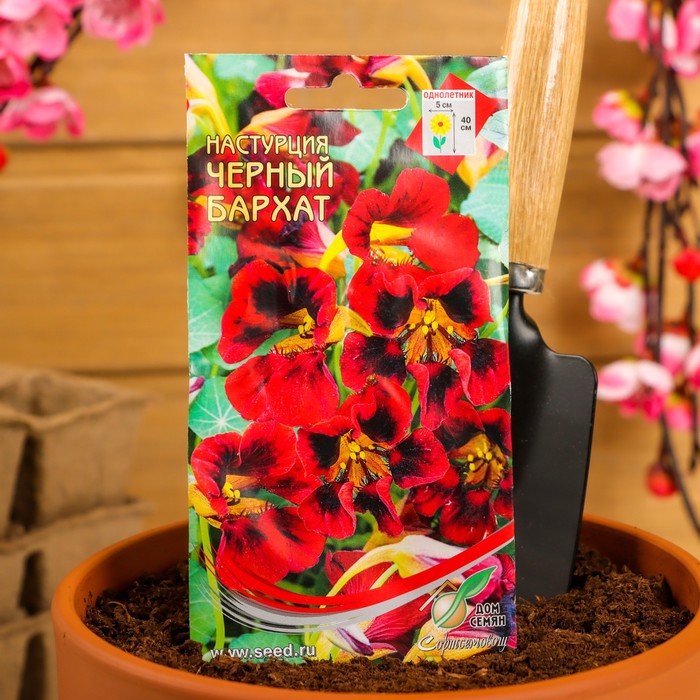 Семена цветов Настурция