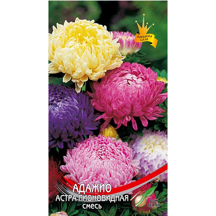 Семена цветов Астра пионовидная