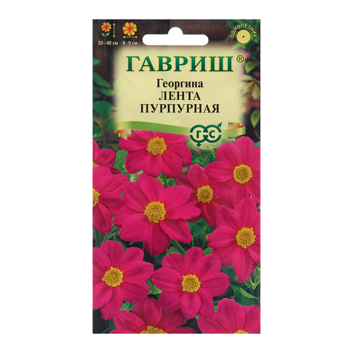 Семена Георгина