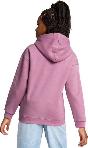 Джемпер детский ESS+ TROPICAT Hoodie FL G, Puma