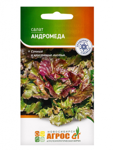 Семена Салат