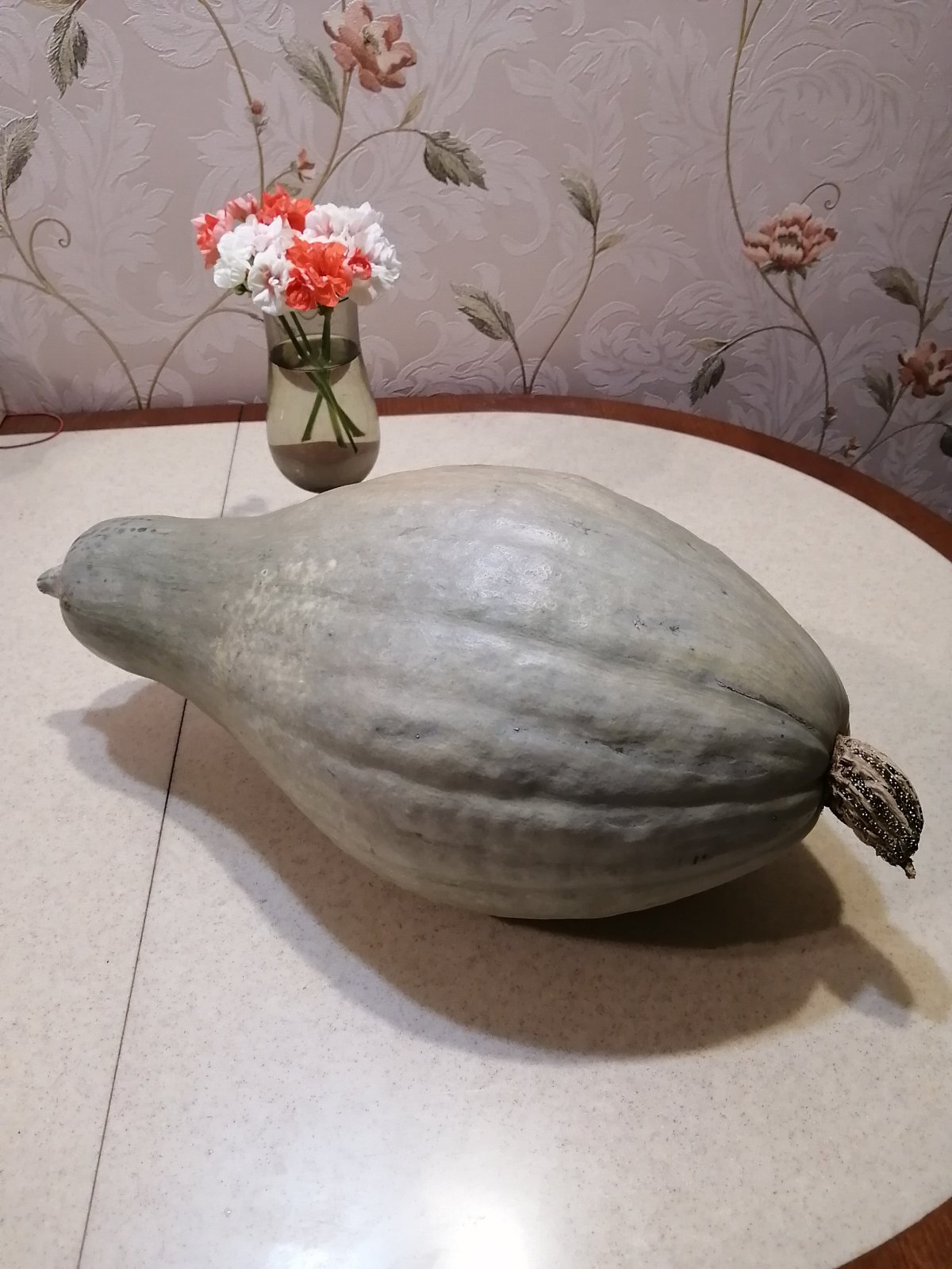 Тыква Голубой Хаббард