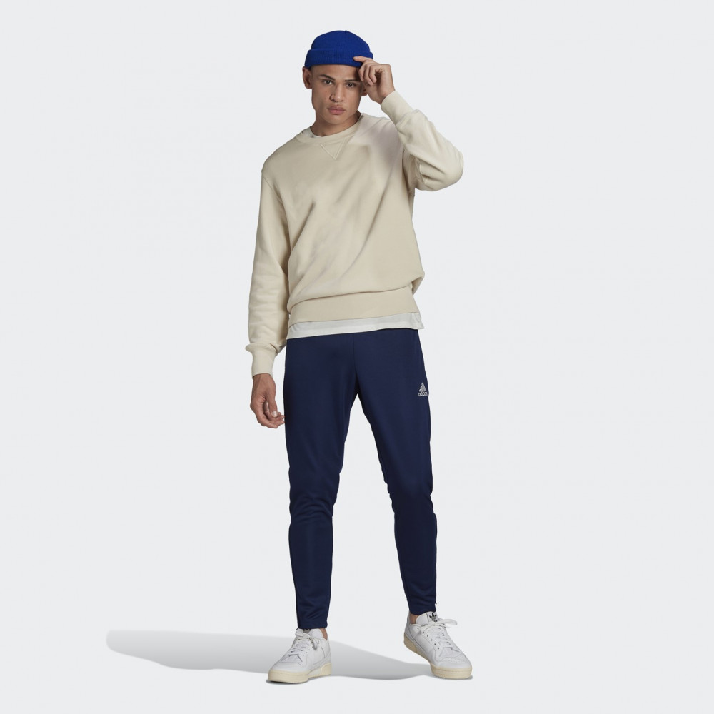 Брюки мужские ENT22 TR PNT, Adidas