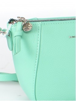 Сумка женская искусственная кожа DJ-CM 6922-AQUA GREEN, 1отд, плечевой ремень, зеленый 259745
