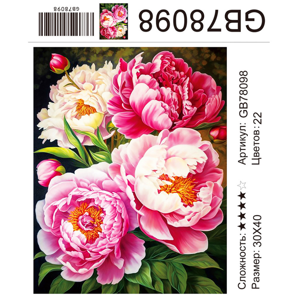 GB78098 АЛМАЗНАЯ МОЗАИКА НА ПОДРАМНИКЕ (круглые стразы) 30x40