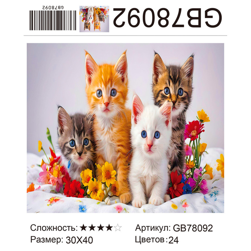 GB78092 АЛМАЗНАЯ МОЗАИКА НА ПОДРАМНИКЕ (круглые стразы) 30x40