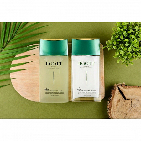 Jigott Набор по уходу за мужской кожей / Well-Being Green Tea Homme Skin Care 2 Set, 150 мл*2, 30 мл*2